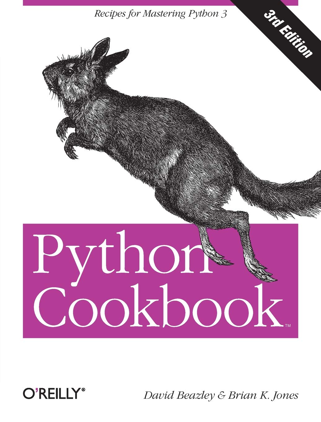 Python Cookbook by David Beazley and Brian K. Jones